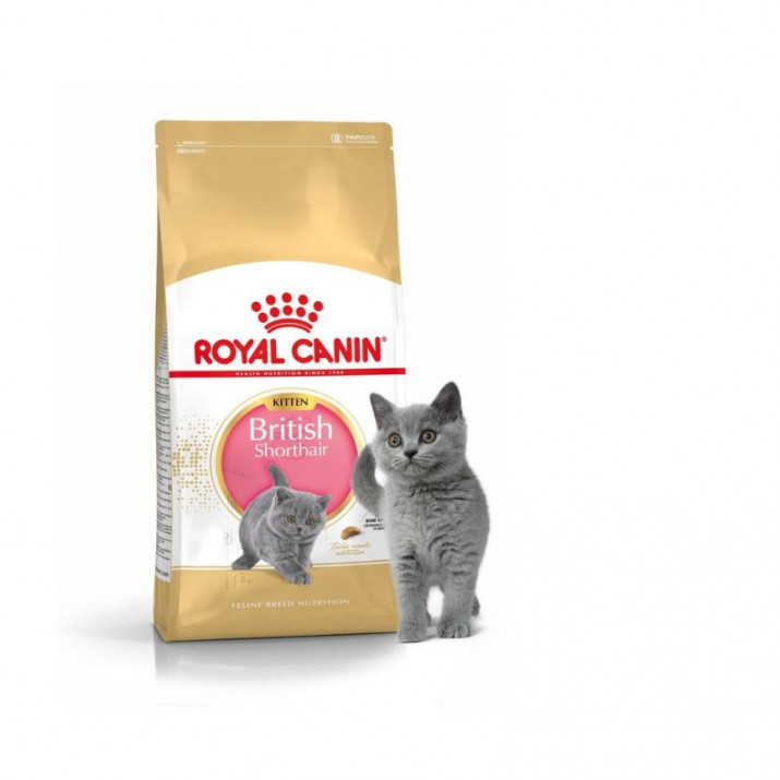 Royal Canin British Shorthair Kitten // Корма для кошек / Сухой 