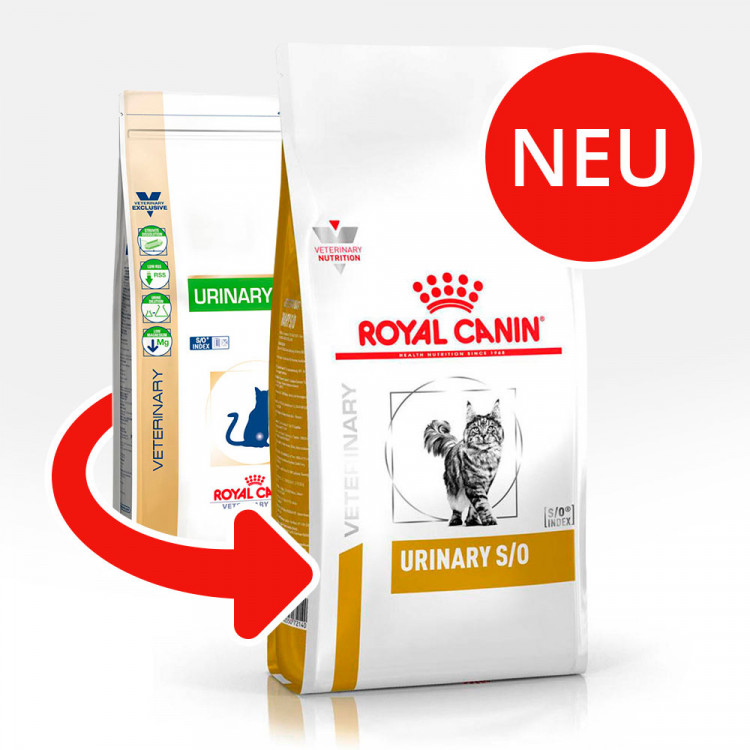 Корм royal canin urinary s o. Корм Роял Канин Уринари. Royal Canin Urinary s/o для кошек сухой корм. Роял Канин Уринари s/o для кошек. Royal Canin Urinary s/o для кошек 1.5.
